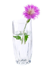 Small bouquet