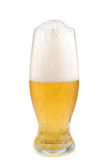 golden beer