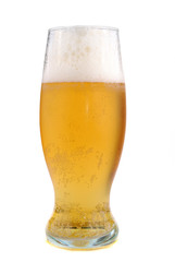 golden beer