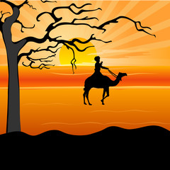 silhouette of a man on camel