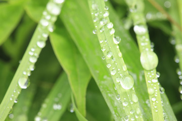 水滴