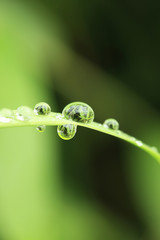 水滴