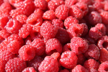Himbeeren
