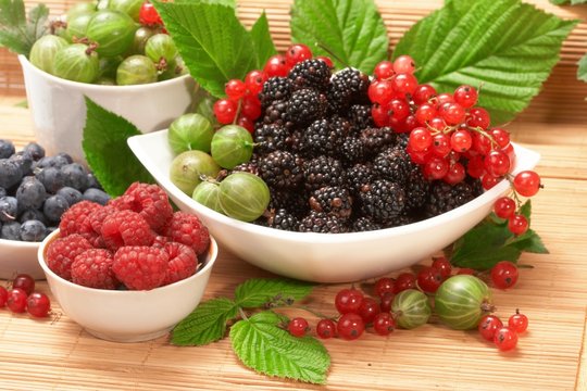 Berries in plates, on a table, among green leaves