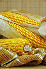 Corn