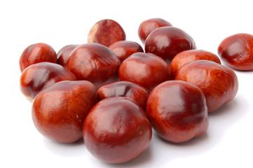 Chestnuts