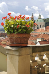 Ceramic Vase with Geranium, Prague