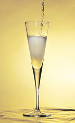 Champagne