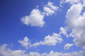 Fototapeta na wymiar 青空と白い雲
