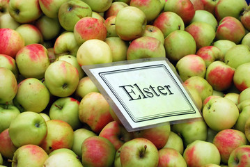 Elster Äpfel