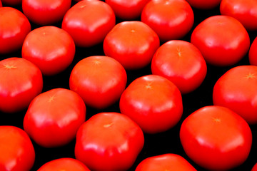 Tomatoes