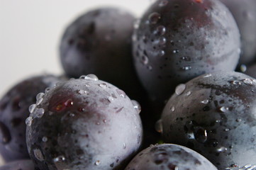 絶対うまいっしょ