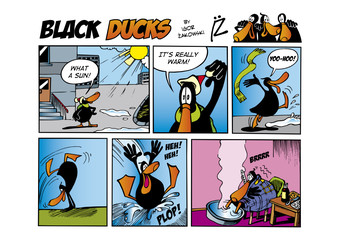 Fototapeta na wymiar Black Ducks Comic Strip episode 22