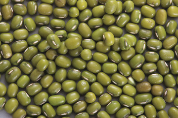 緑豆