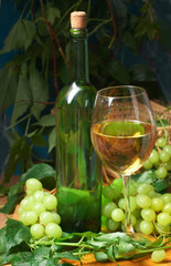 Obraz na płótnie Canvas Kieliszek do wina z butelki do degustacji wina