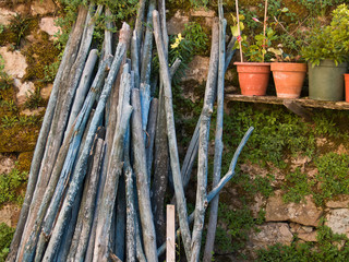 Fototapeta premium Garden in Tuscany