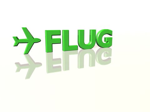 Flug