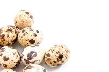 Obraz premium Quail eggs