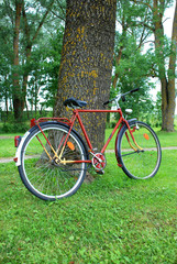 Fototapeta premium Bicycle