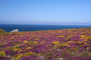 C&ocirc;te sauvage Bretagne