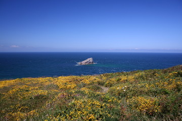 Rocher seul c&ocirc;te sauvage Bretagne