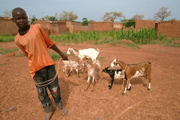 jeune berger du Burkina Faso
