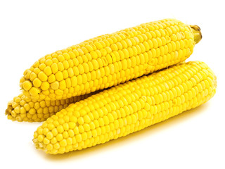 corns