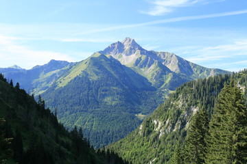 Fototapeta na wymiar Mont de Grange (alt 2432 m)