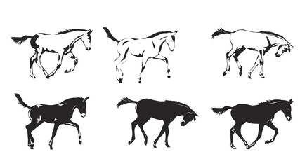foal galloping, two color versions