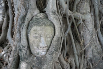 ワット・プラ・マハタート