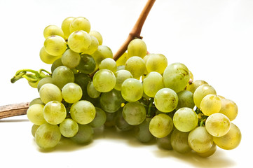 uvas 18
