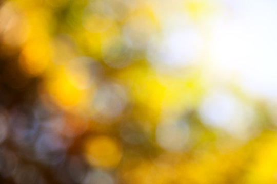 autumn lens blur background
