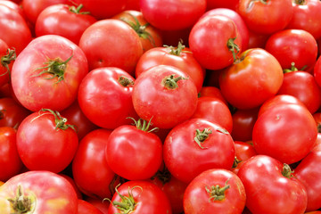 Organic tomatoes