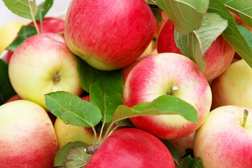 Organic raw apple