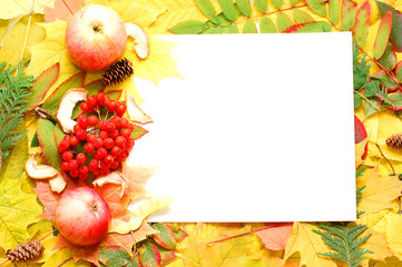 autumn fall leaf frame background