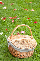 Basket on the green grass with the rose petals