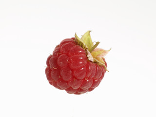 framboise