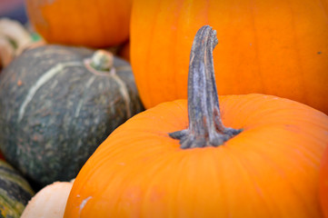 Pumpkin