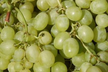 green grapes