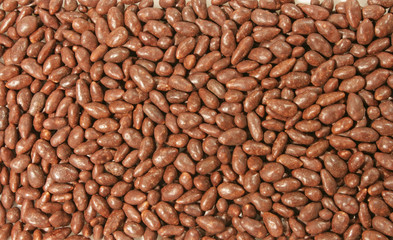 sweetmeats sunflower seed in  chocolate