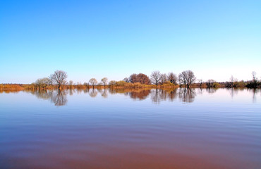 Fototapeta premium flood in wood