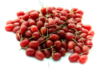 Red berry on a white background