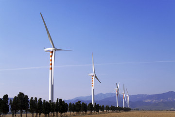 parco eolico