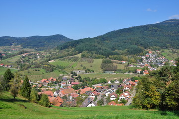 Fototapeta na wymiar Seebach beim Mummelsee, Schwarzwald, Niemcy