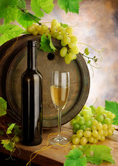 White wine, grapevine and old barrel