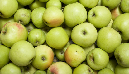 green apples