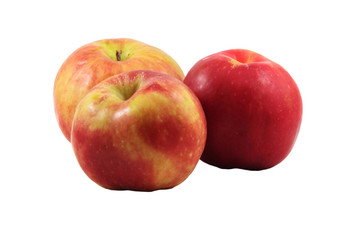 Fototapeta na wymiar trzy jabłka Gravenstein