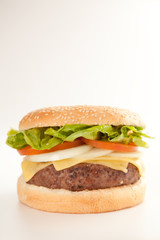 Fresh homemade Beef tomato cheese onion burger isolated