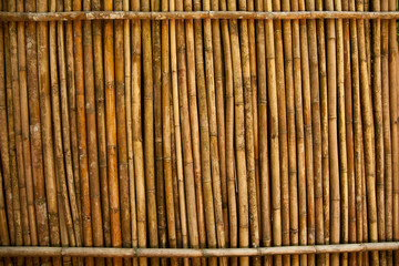 Bamboo wall