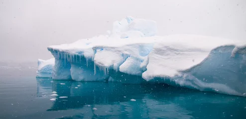 Zelfklevend Fotobehang Azure Iceberg - Paradise Bay, Antarctic Peninsula © Rich Lindie